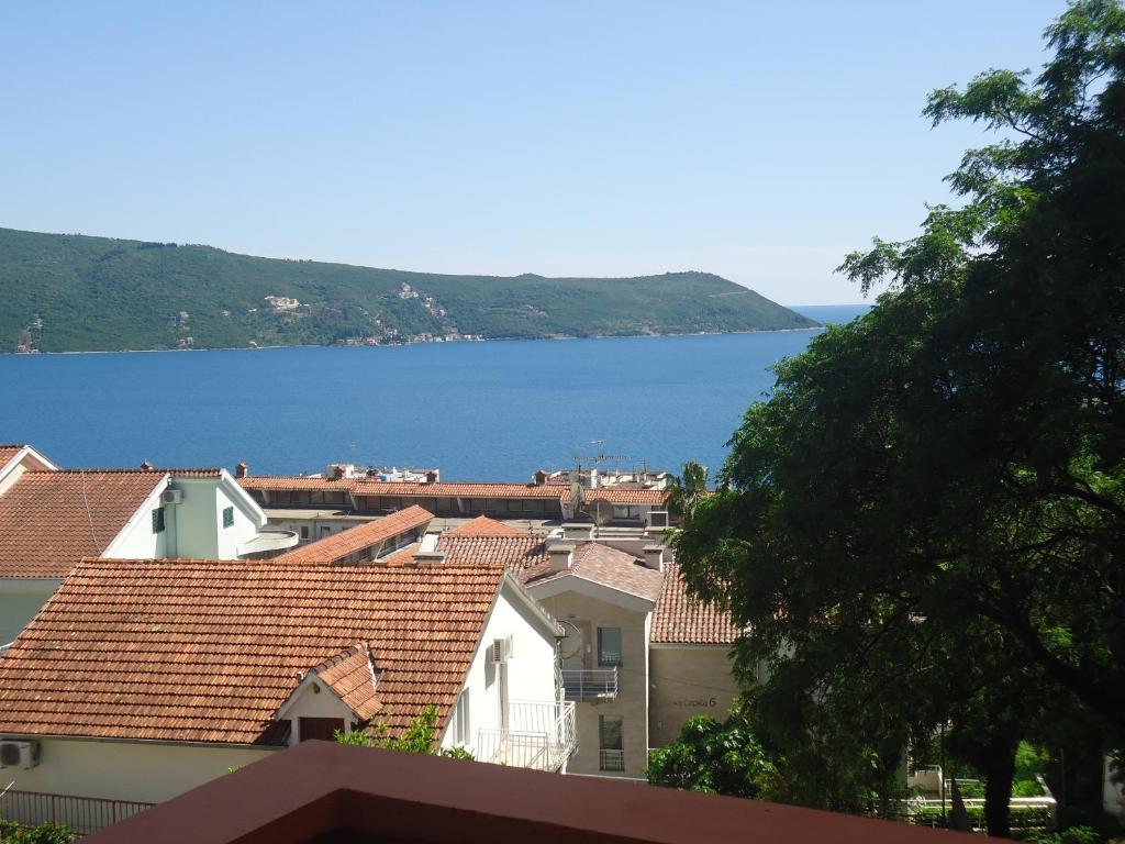 Apartments Villa Micunovic Херцег-Новий Номер фото